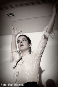 Centro Flamenco Aufführungen III